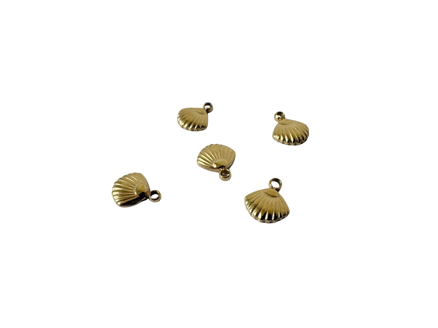 Clam Shell Charm