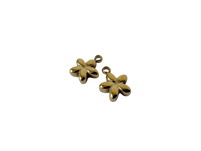 Bubble Star Charm