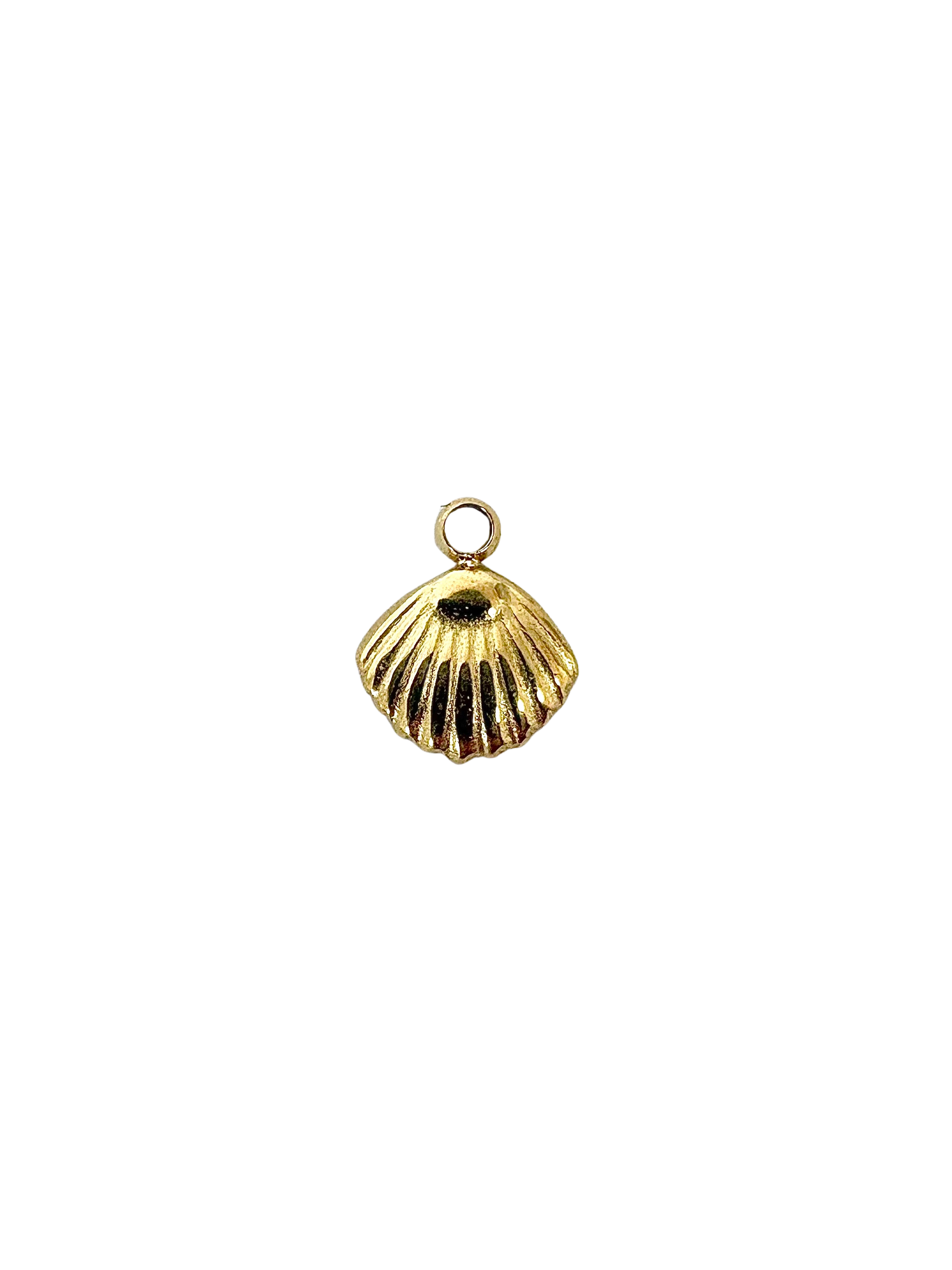 Clam Shell Charm - Stainless Steel PVD