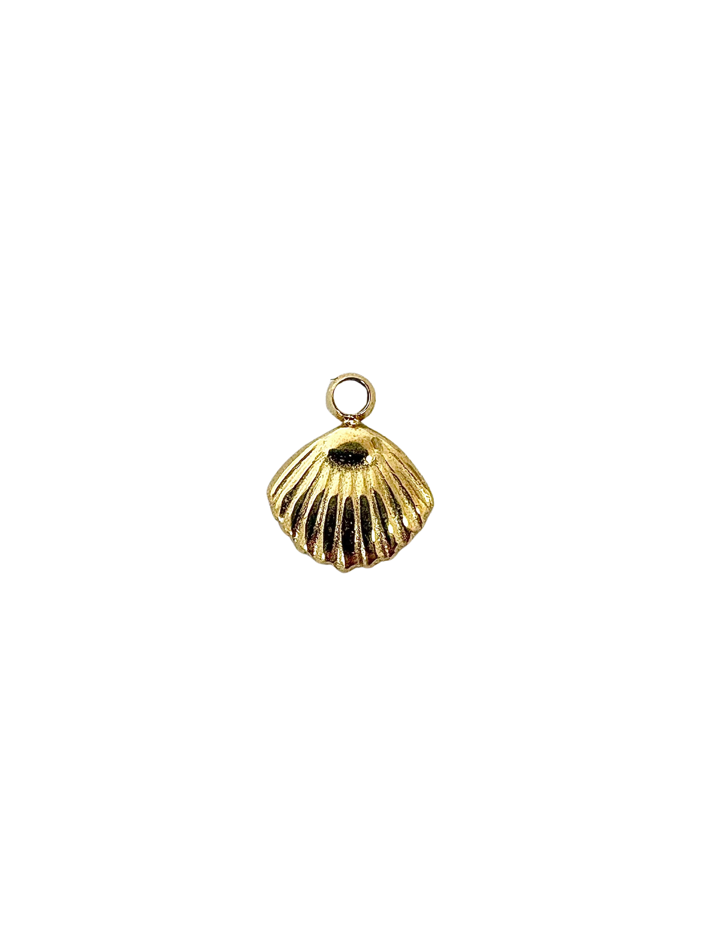 Clam Shell Charm