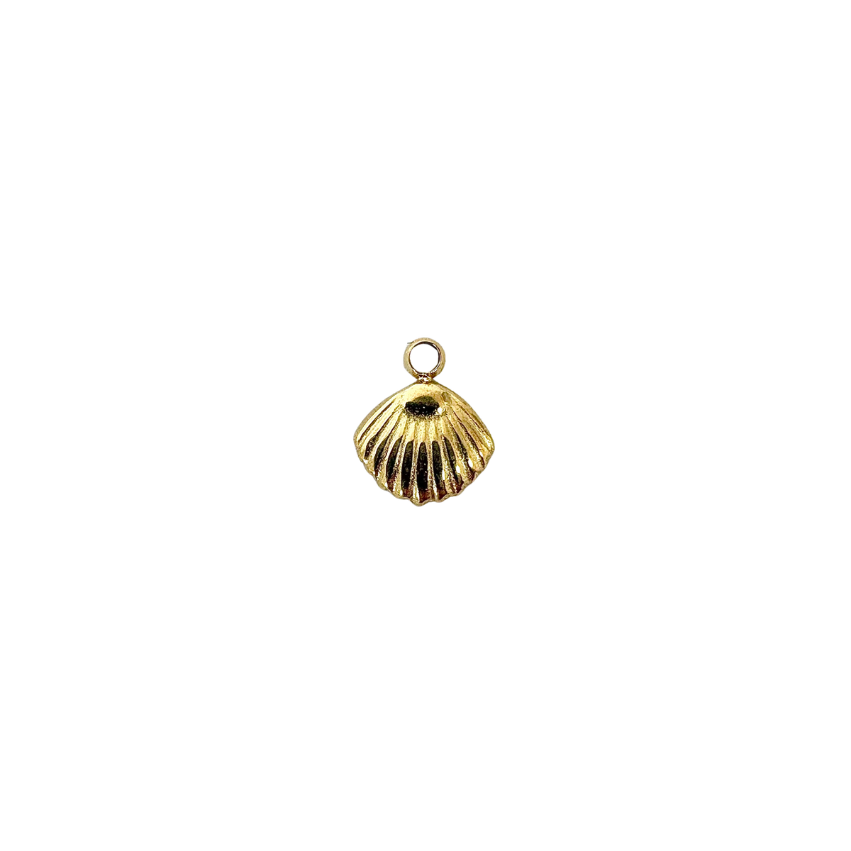 Clam Shell Charm
