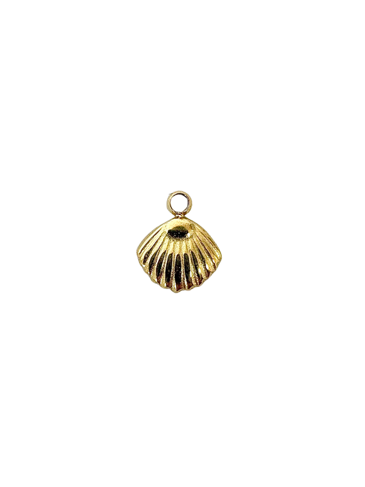 Clam Shell Charm - Stainless Steel PVD