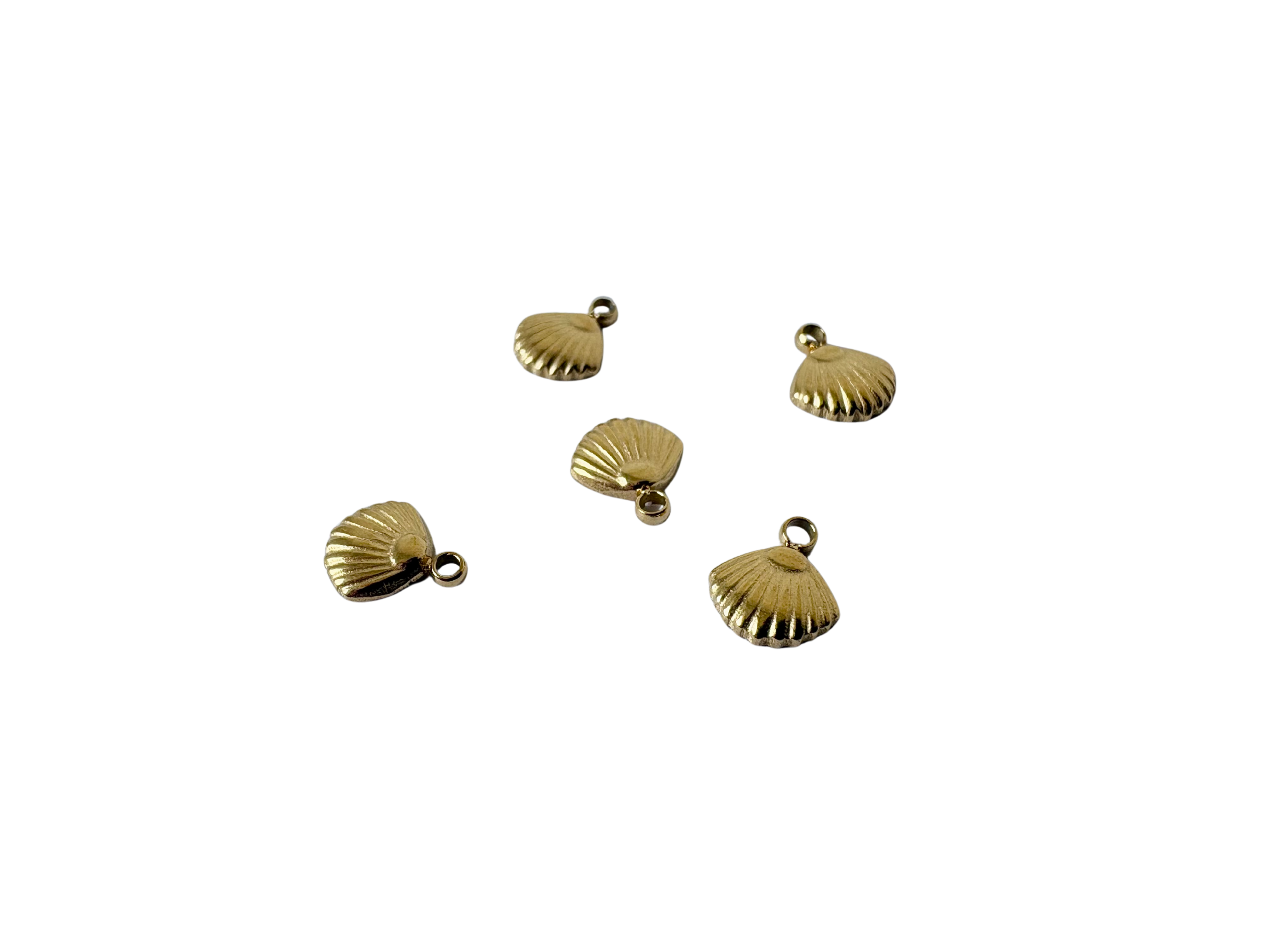Clam Shell Charm - Stainless Steel PVD