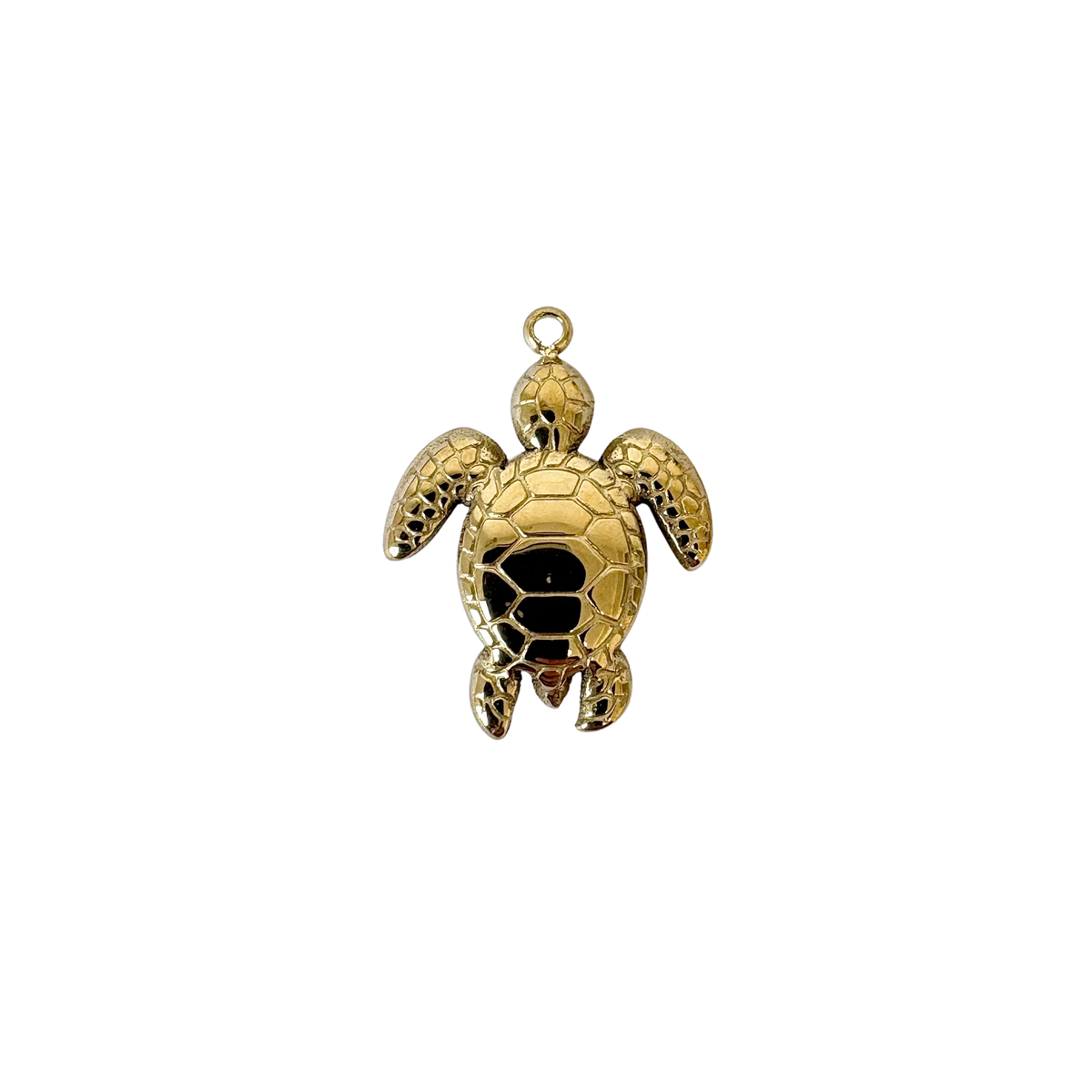 Sea Turtle Charm