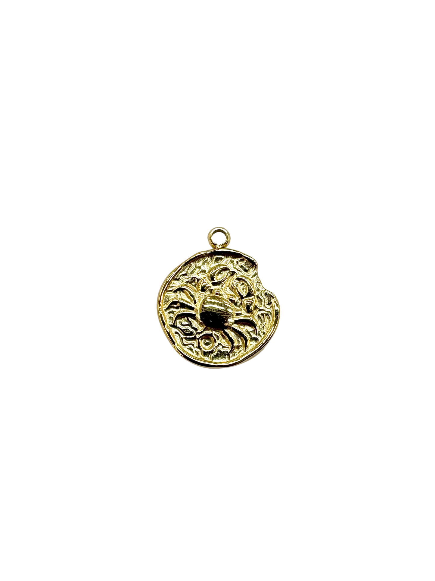 Zodiac Sign Coin Charms, Set of 12