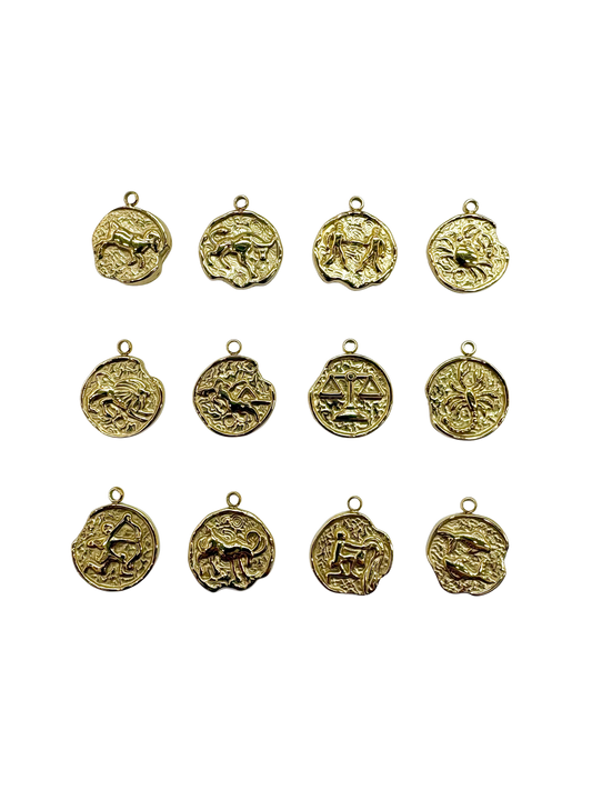Zodiac Sign Coin Charms, Set of 12 - Stainless Steel PVD