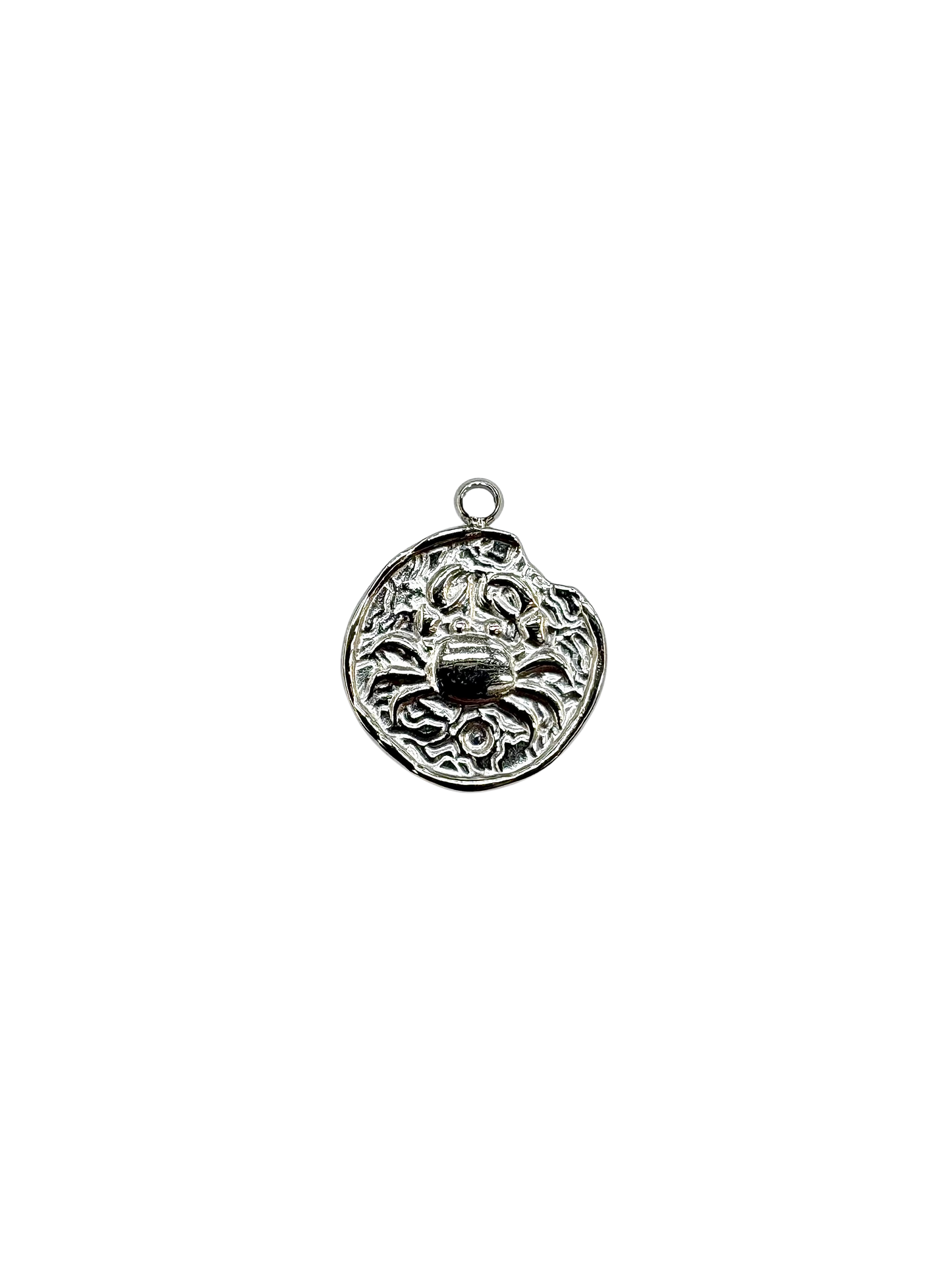 Zodiac Sign Coin Charms, Set of 12