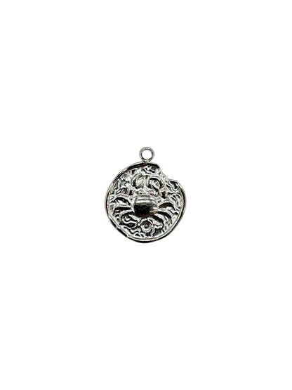 Zodiac Sign Coin Charms, Set of 12