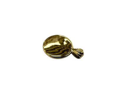 Rose Stem Coin Charm