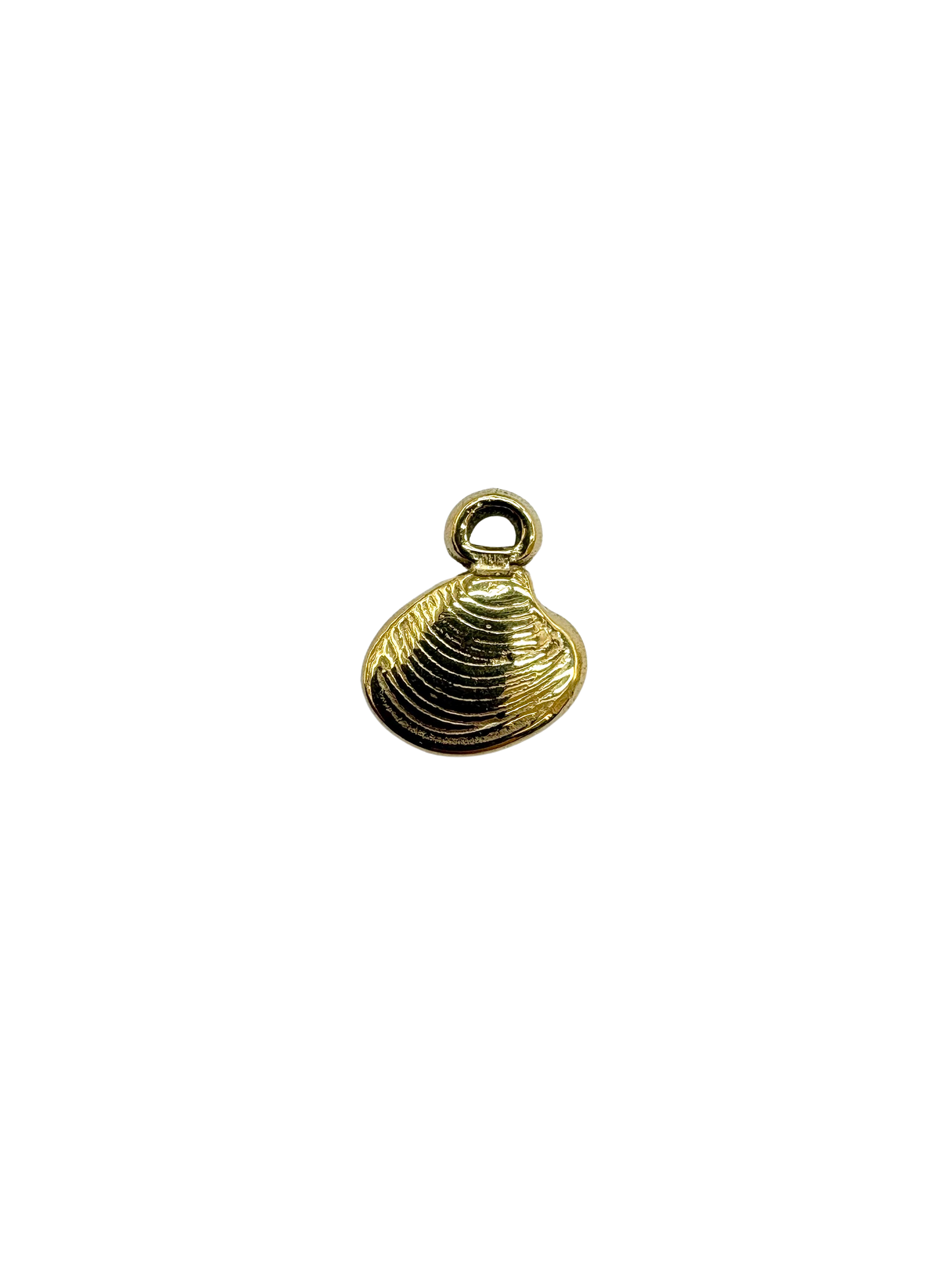 Dainty Clam Shell Charm