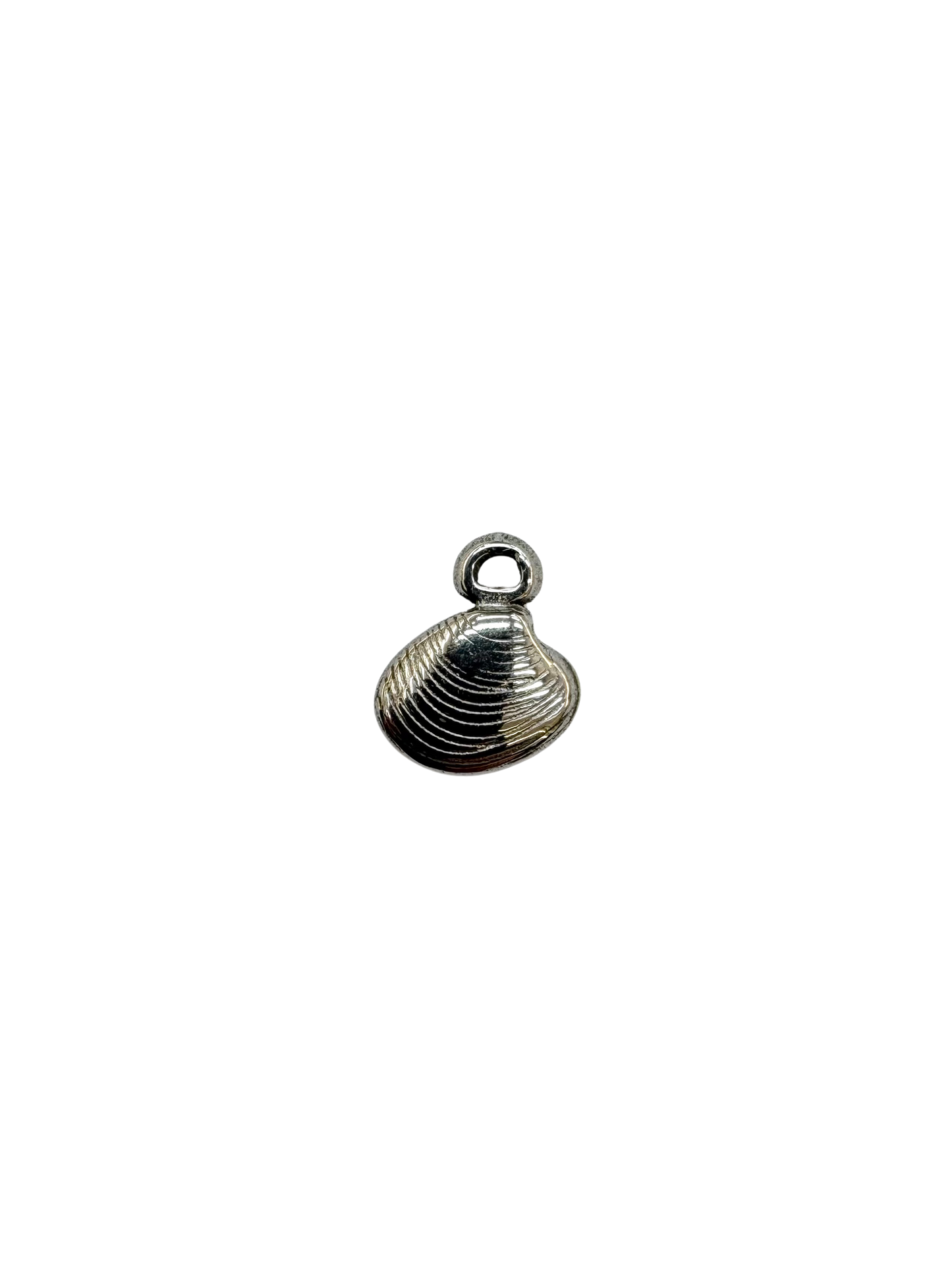Dainty Clam Shell Charm