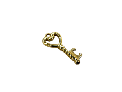 Skeleton Key Charm
