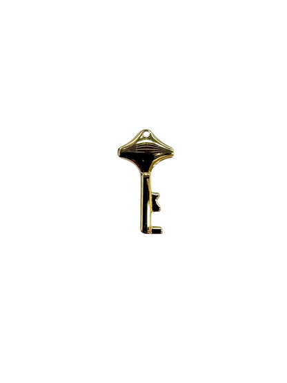 Dainty Key Charm