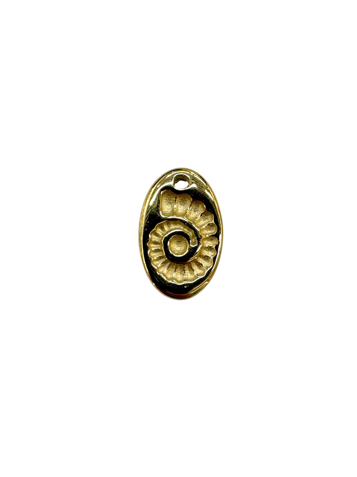 Nautilus Fossil Charm