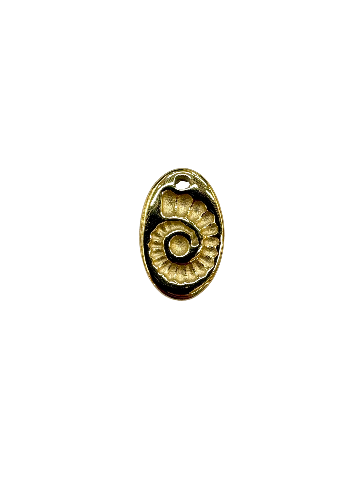 Nautilus Fossil Charm