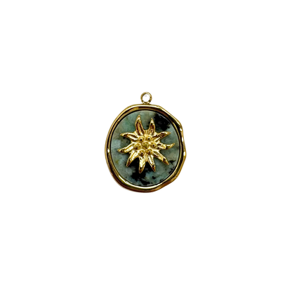 Helianthus