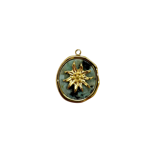 Helianthus