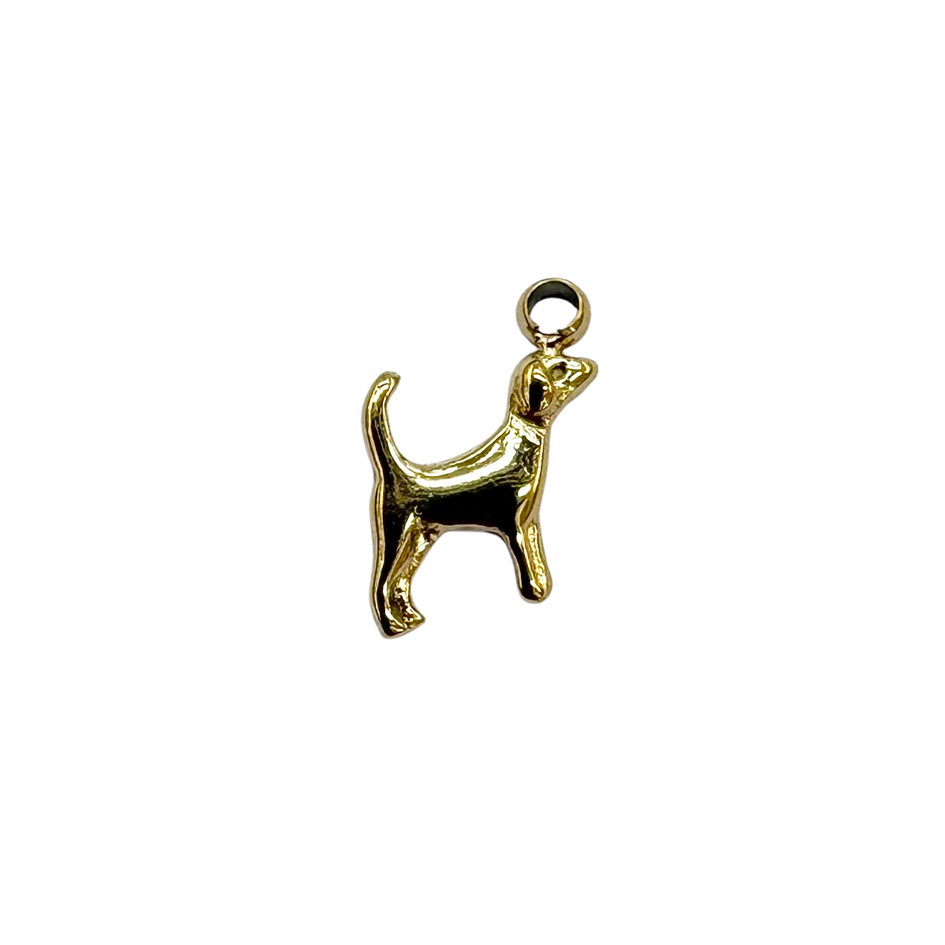 Little Dog Charm