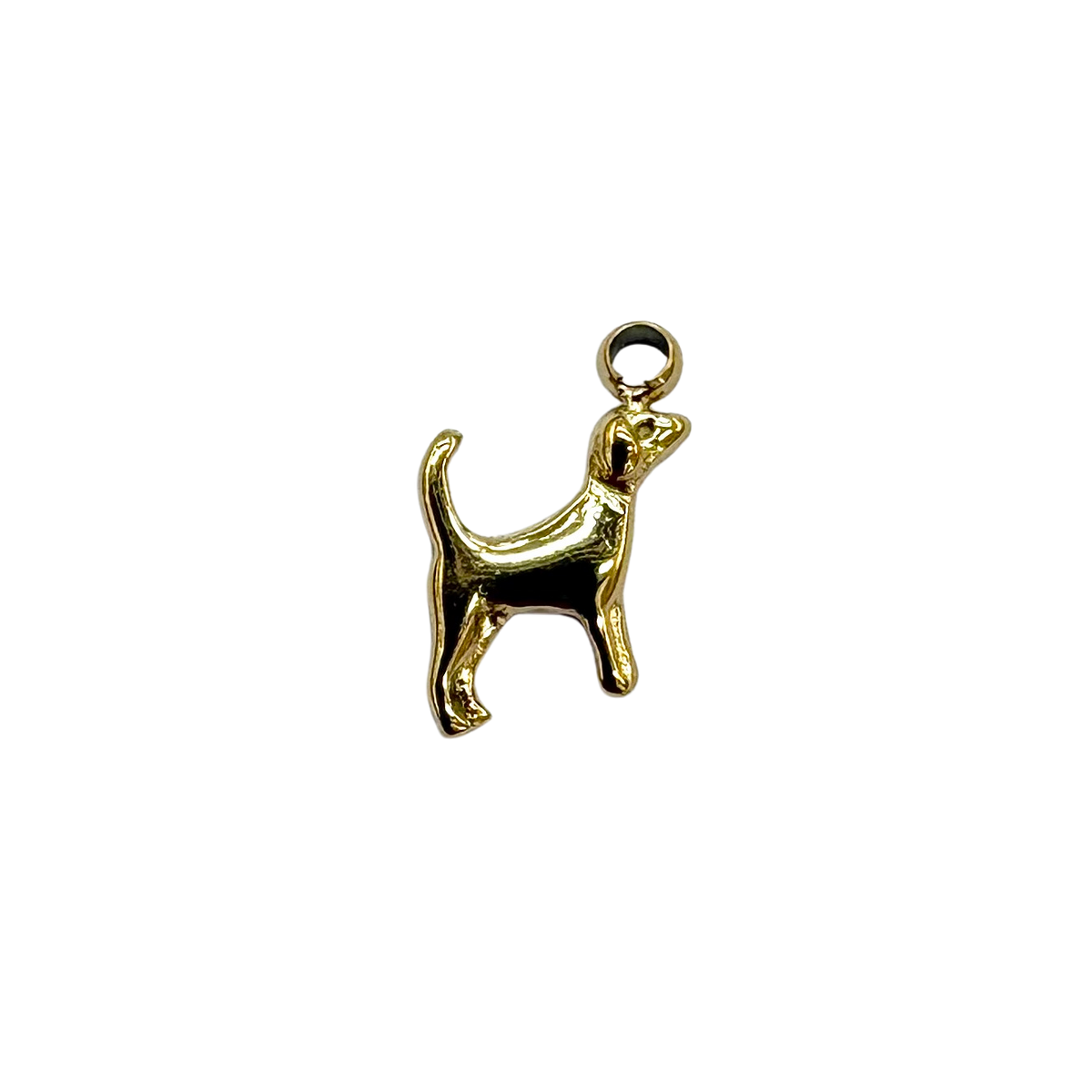 Little Dog Charm